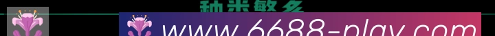 6688体育荣誉